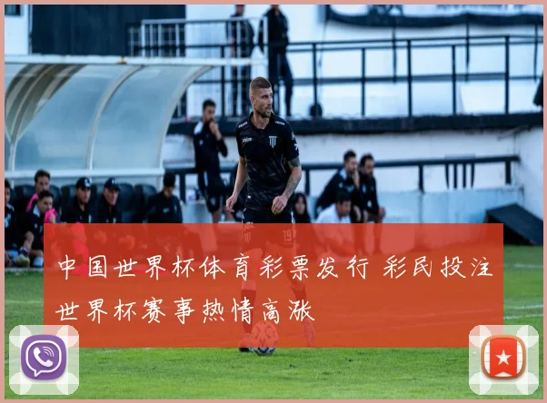 中国世界杯体育彩票发行 彩民投注世界杯赛事热情高涨